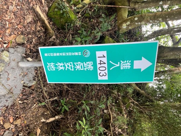 20250926_暗影山（台中小百岳）2941247