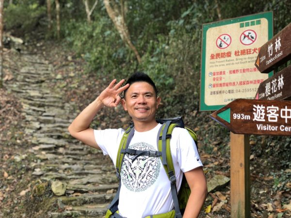 八仙山森林遊樂區【與藍腹鷴漫步在春光裡】531623