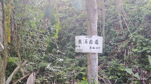 20251109 士林站到大湖站(福山宮_腰繞_燕溪古道_翠山步道_龍船岩_大溝溪)2932335