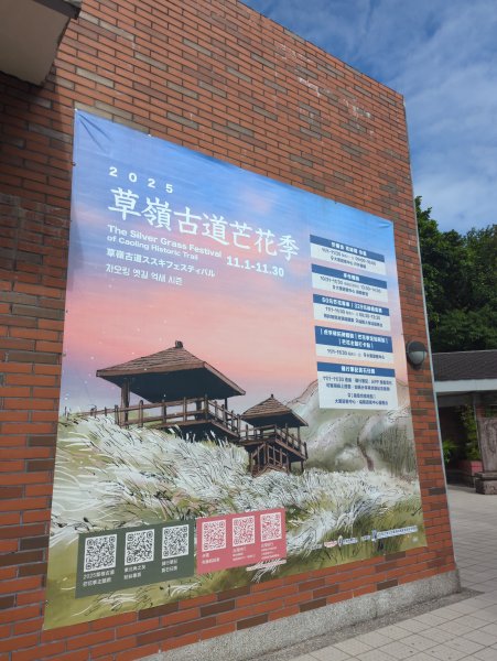 2025.11.29－草嶺古道芒花季2956001