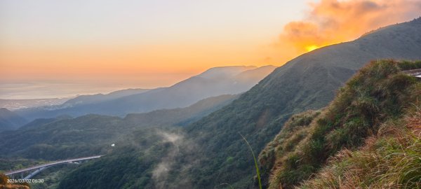追花是簡單的快樂，賞花是恬淡的幸褔 3/2&73008753