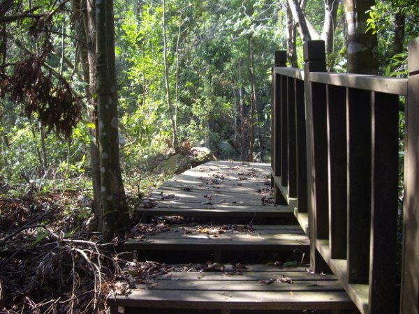 【苗栗】通安步道、通安山