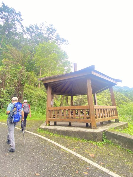 溪頭散步悠遊    2024.5.202517701