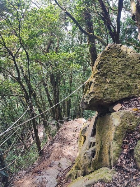 仙山-小百岳#33-苗栗縣獅潭鄉2242742