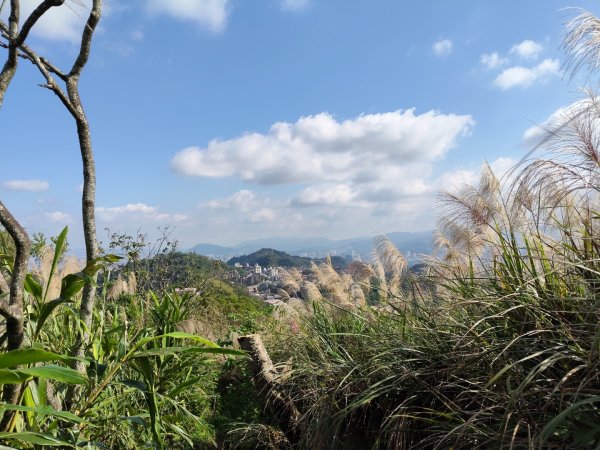 微笑山線：【天上山系】烘爐地土地公段：南勢角山2959344