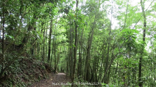 《雲林》望好望角｜石壁山嘉南雲峰步道(中側登山口）202506072805474