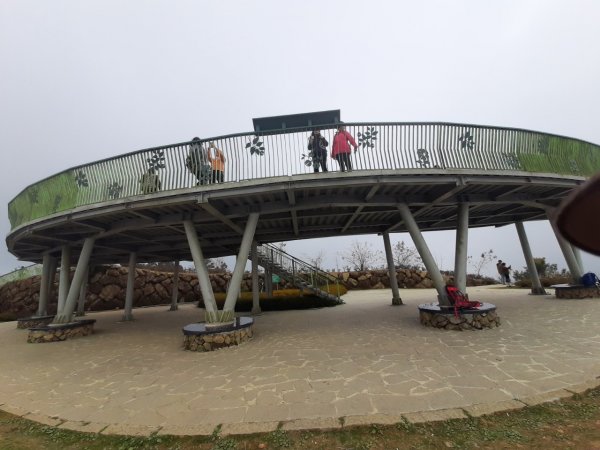 投54苦茶嶺林道到雲嶺之丘