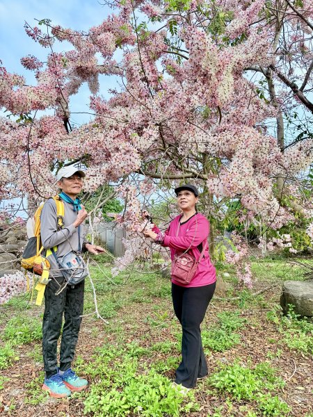 楠西悠遊(鹿陶洋.爐芝潭山)  2026.3.263027454