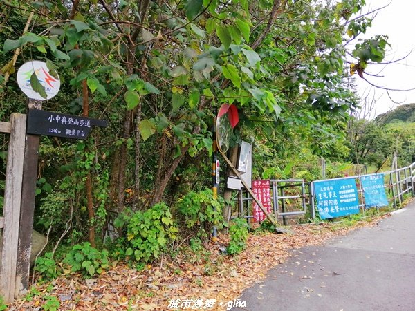 【台中。東勢】鄉村風情。 小中嵙登山步道1243191