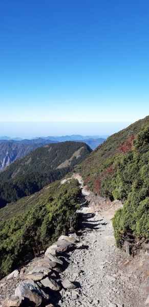 玉山前四峰之旅869548