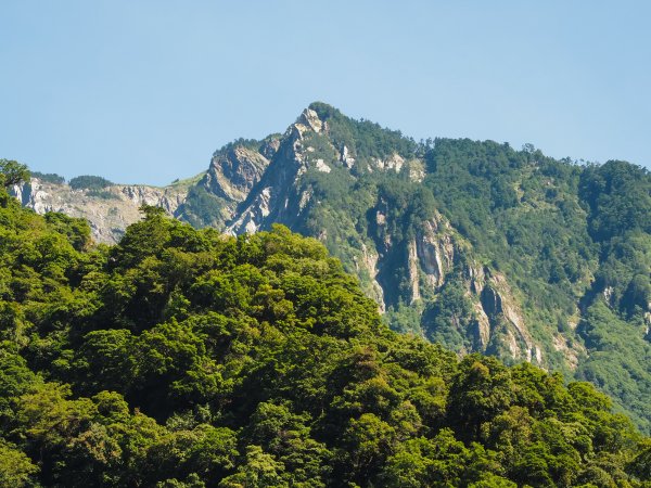 [百岳]能高越嶺逆走與奇萊南峰1042674