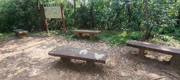 羊稠森林步道2776981