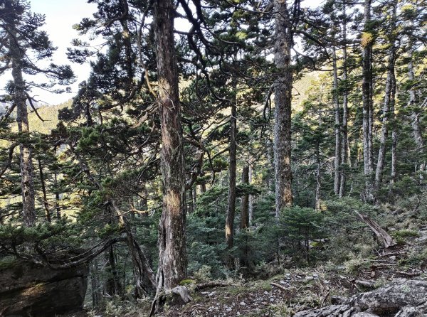 北一段(08/14)陶塞峰 2025_0906~132886953