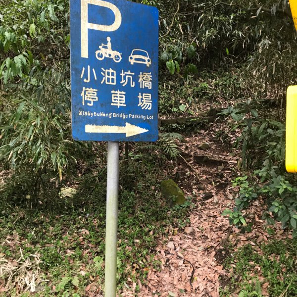 台北大縱走第二段1249249
