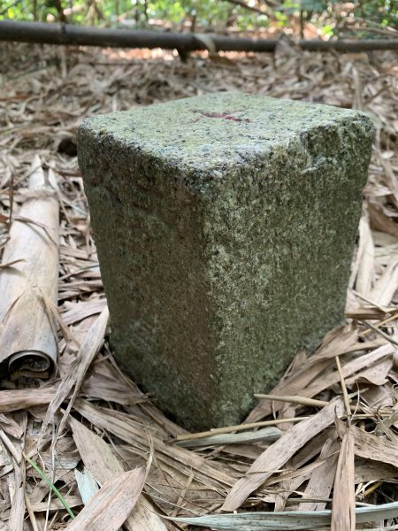 20250929台南馬草山2899805