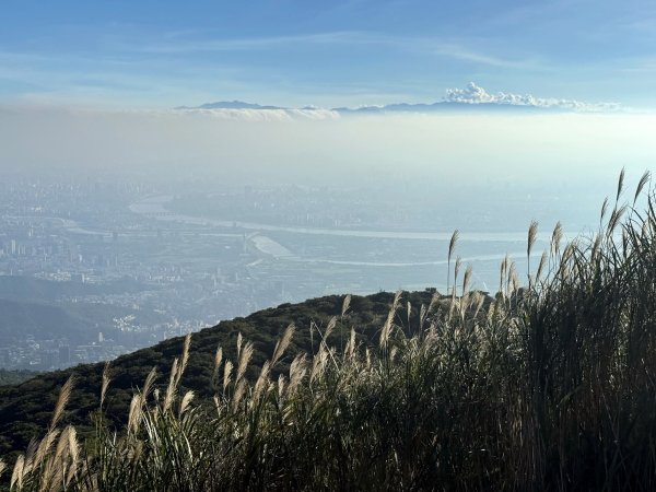 二子坪步道 經遊憩區 上面天山 20251108