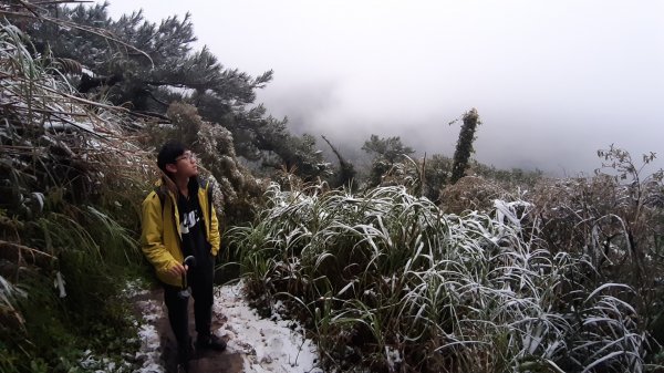 人生第一次賞雪(面天山、向天山)1246389