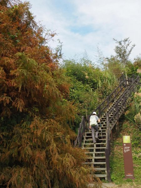 嘉義二延平步道觀雲瀑20181208478130