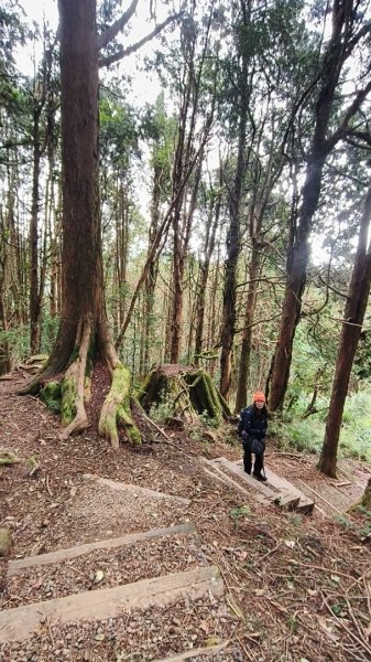 神阿縱走~台灣難抵極~大塔山2971510