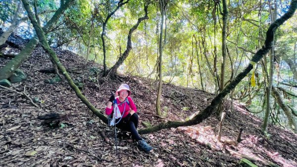 🌈9/12（六）屋東縱走（大雪山進谷關大道院出）FB：熊熊趴爬走(富裕登山社)🌈3118863