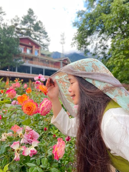 西藏♥️可愛動物🐎人物寫真/拉薩旅拍/美食2906586