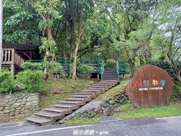 【花蓮壽豐】秀麗山景。 池南國家森林遊樂區森林浴步道2266006