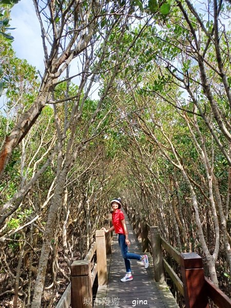 【新竹新豐】台灣唯一建有觀賞步道的生態保護區。 新豐紅樹林生態保護區2381810