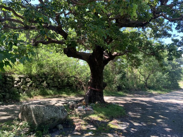 20251006屏東老佛山-老佛山西峰2907878