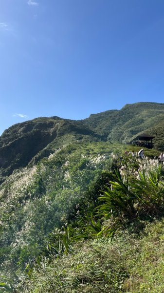 2025草嶺古道2970601