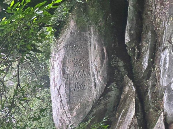 2024草嶺古道芒花季草嶺古道2644797