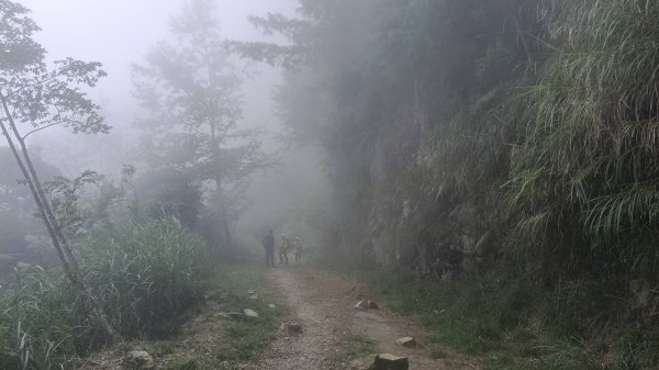 20251010 大雪山國家森林遊樂區 - 船型山林道 登 烏石坑山2911119