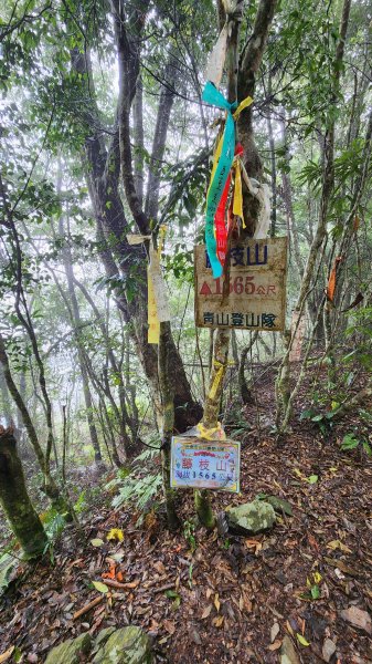 111/12/18藤枝森林園區東藤枝山、藤枝山1979588