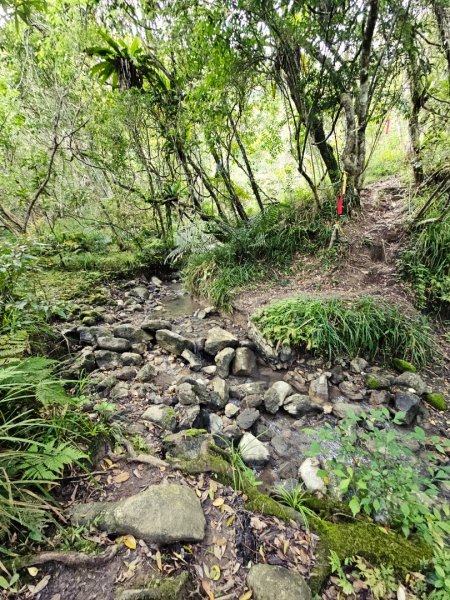 八里灣山-小百岳#91-花蓮縣豐濱鄉3019233