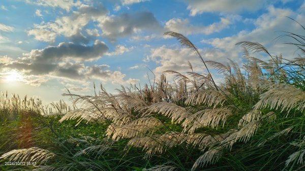 八里左岸夕陽火燒雲10/12&紗帽路上的夕陽10/142621705