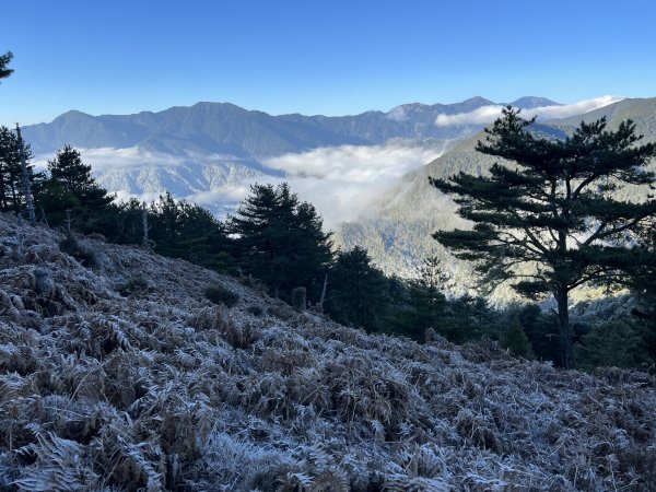 【南三段逆走】D7 冰雪沙武巒草原與瑞穗林道2021887