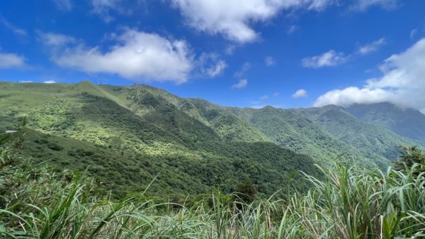 環七星山人車分道步道 – 百拉卡公路入口站至冷水坑段2165169