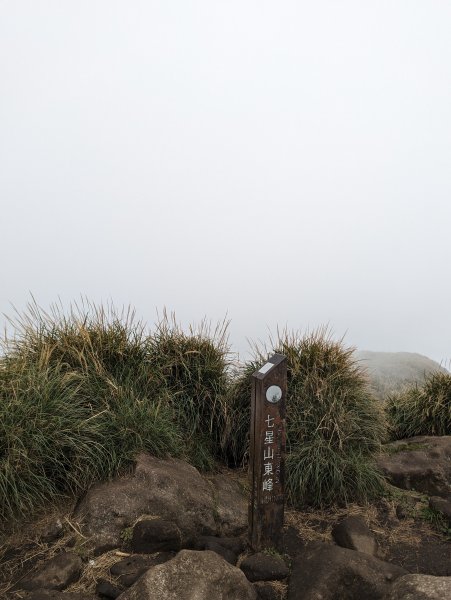 2023-11-19 臺北大縱走第三段2793056