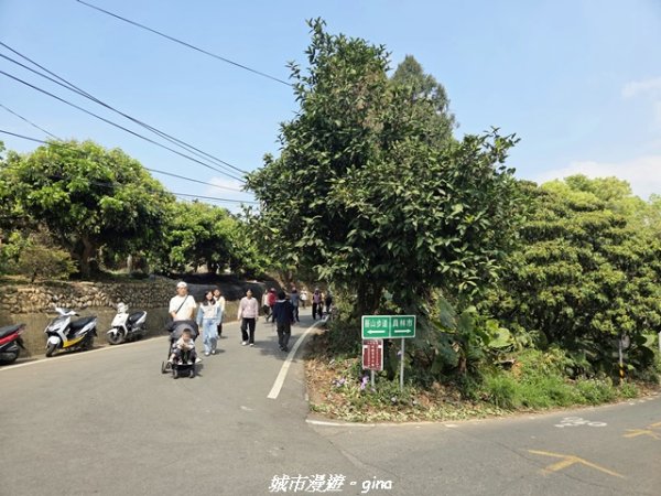 【彰化】員林藤山步道x田尾公路花園3016561
