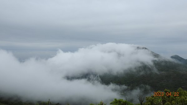 再見陽明山雲瀑，大屯山雲霧飄渺日出乍現，小觀音山西峰賞雲瀑。2123379