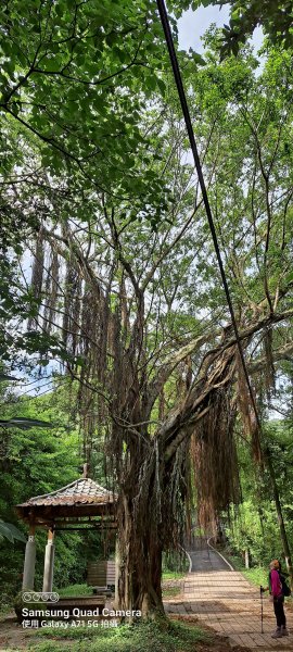 苗栗-獅頭山1745112