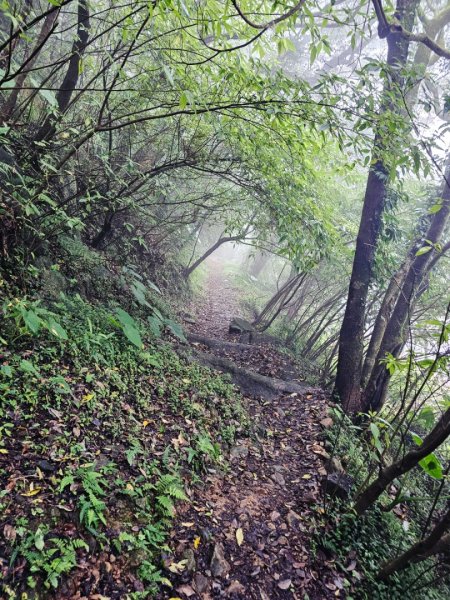 2025臺北大縱走第二段：二子坪至小油坑