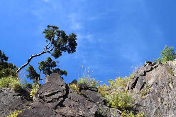 合歡溪步道健行174462