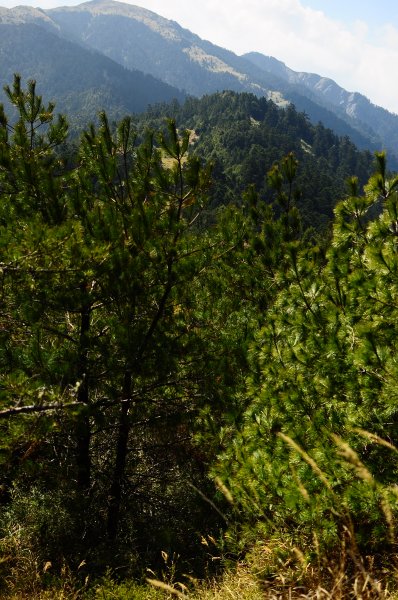 武法奈尾山天巒池872493