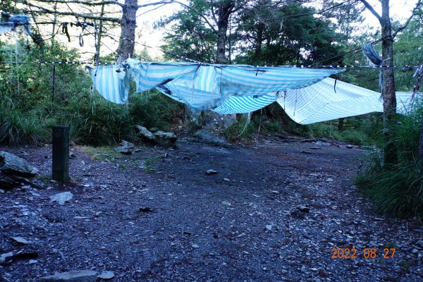 花蓮 秀林 畢祿山 (高遶-進；崩塌-出)1823030