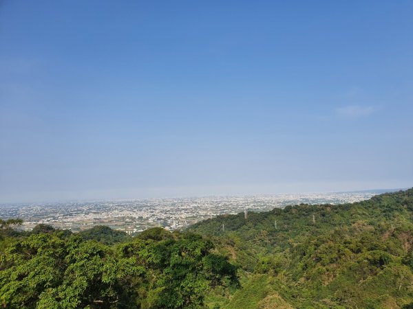 清水岩中央嶺造林步道1188957