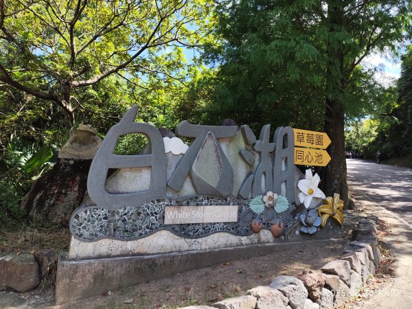 翠山步道、大崙頭尾山親山步道【臺北健走趣】2874321