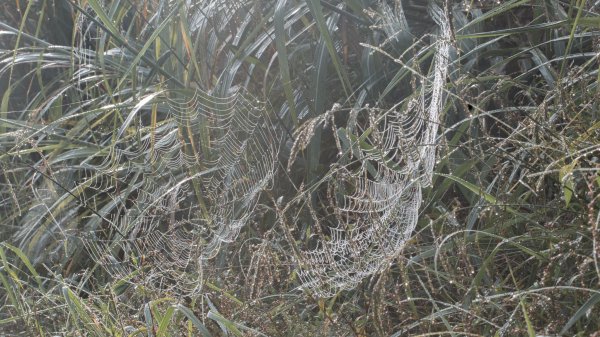 探訪台北溪流之美｜桶後越嶺古道（礁溪-烏來）2911748