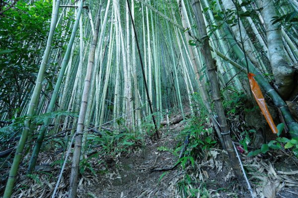 新竹 五峰 清泉山、民都有山2633682