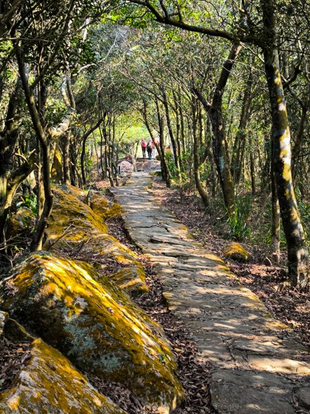 2026-02-22 內湖雙心縱走3006802