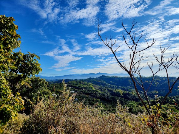 小百岳集起來-阿罩霧山山2180724